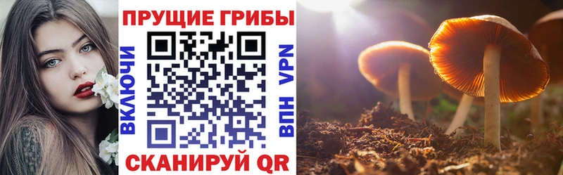 Галлюциногенные грибы мухоморы  кракен как зайти  Устюжна 